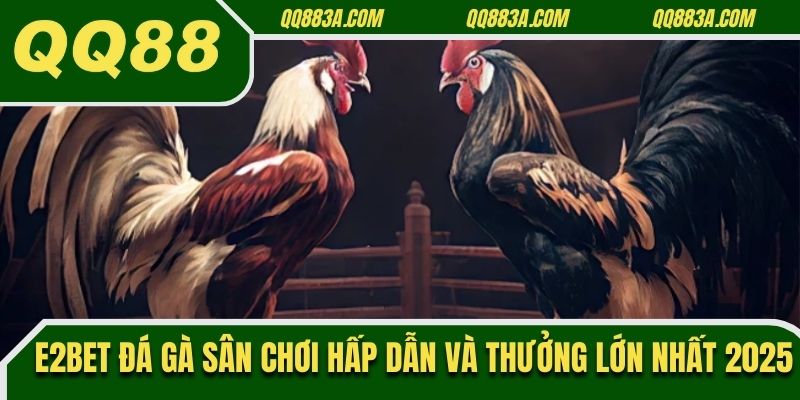 E2bet đá gà